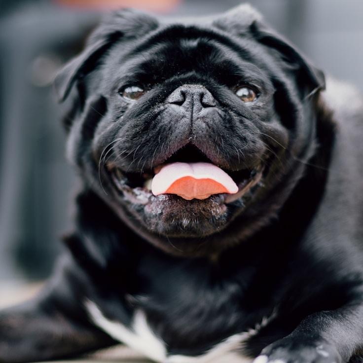 Portrait of Nova Reyes, group coordinator and fusion cooking expert